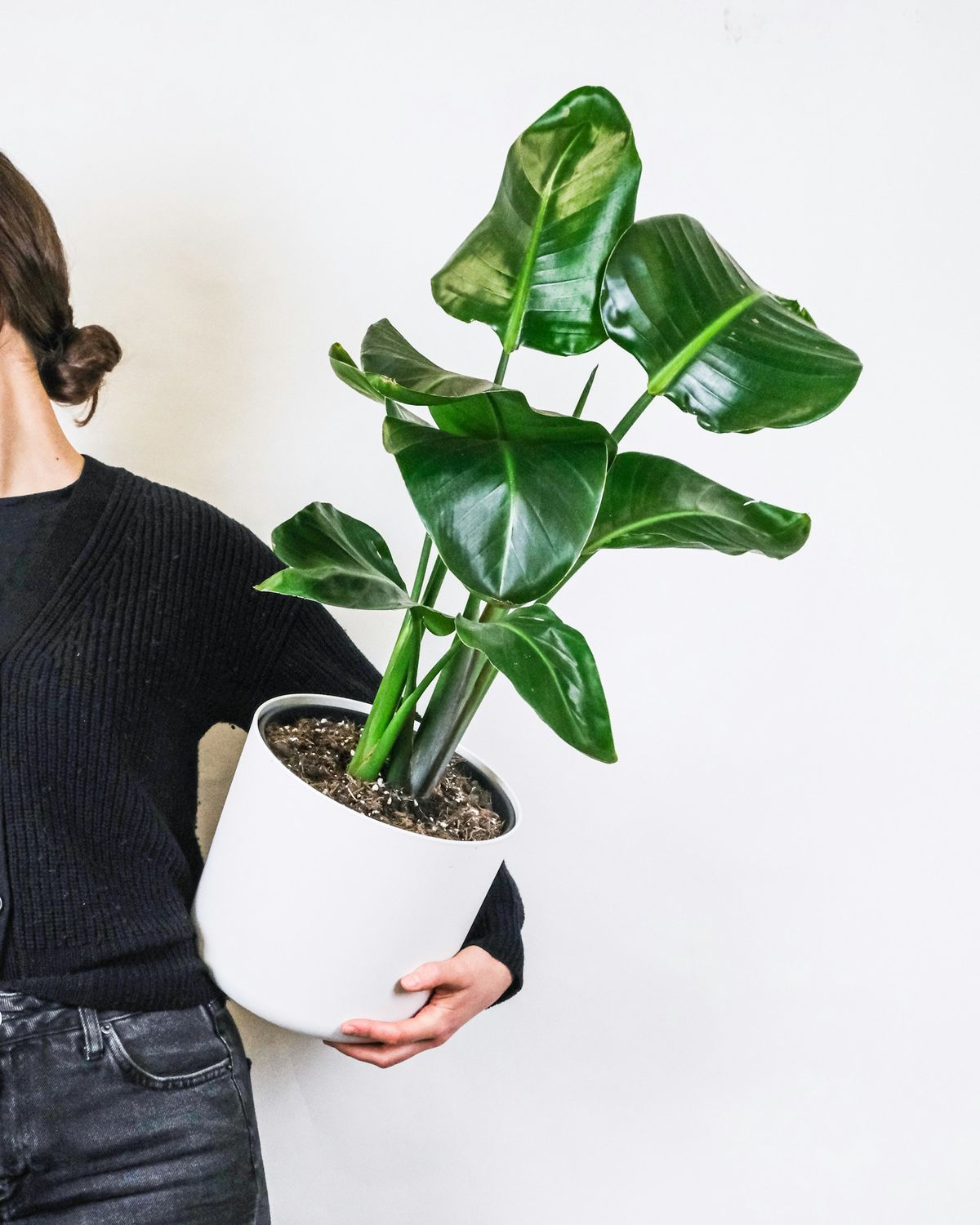 Kvinne i svart genser holder grønn plante