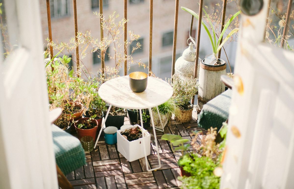 Hage på terrasse i byen
