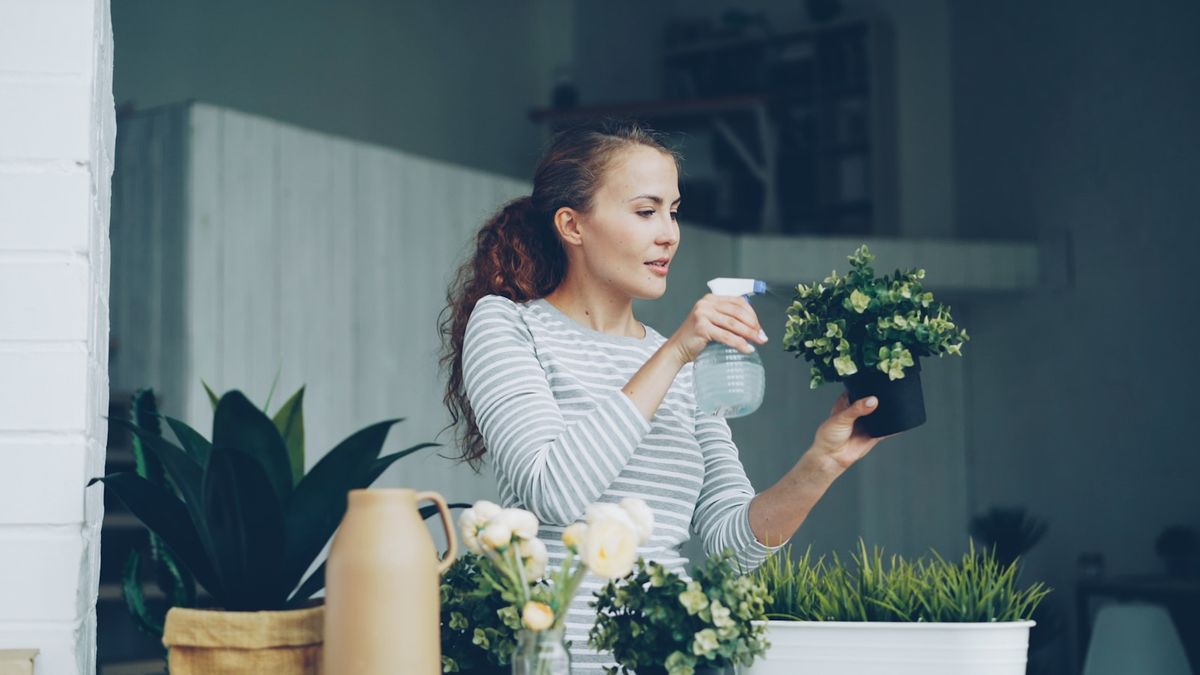 Person vanner mange potteplanter samlet