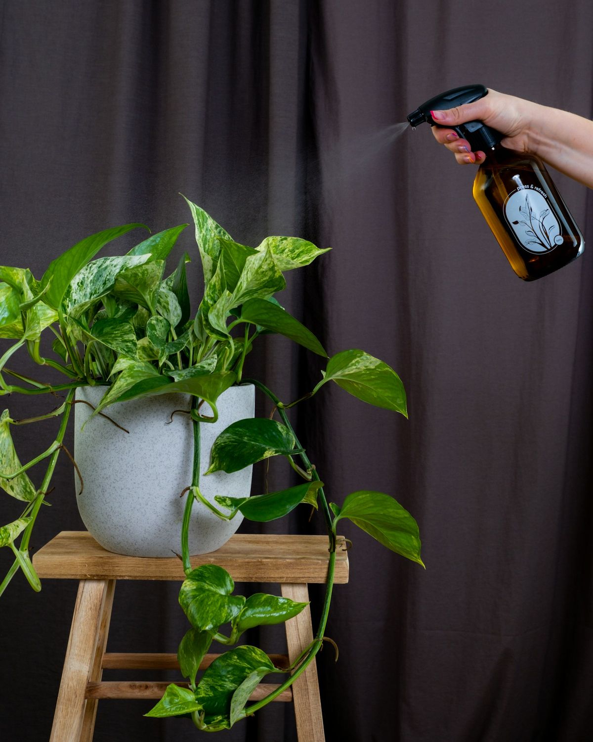 En person sprayer en potteplante med en sprayflaske